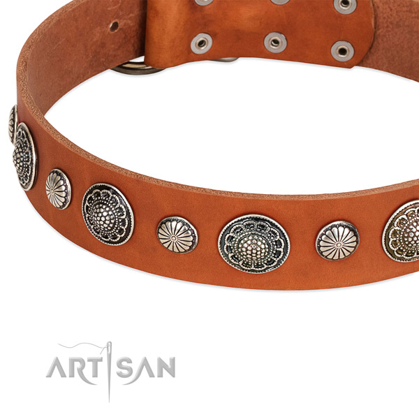 Genuine leather collar with strong traditional buckle for your handsome canine