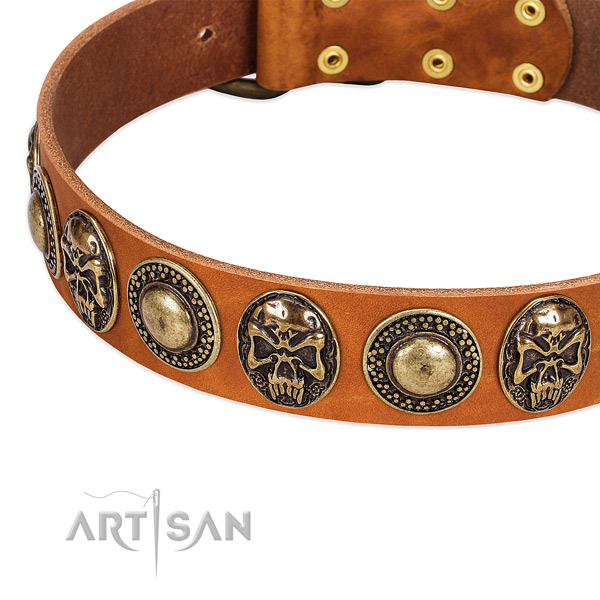 Strong studs on natural leather dog collar for your pet