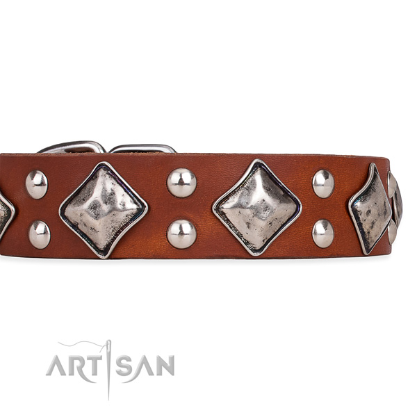 Leather dog collar with incredible durable studs