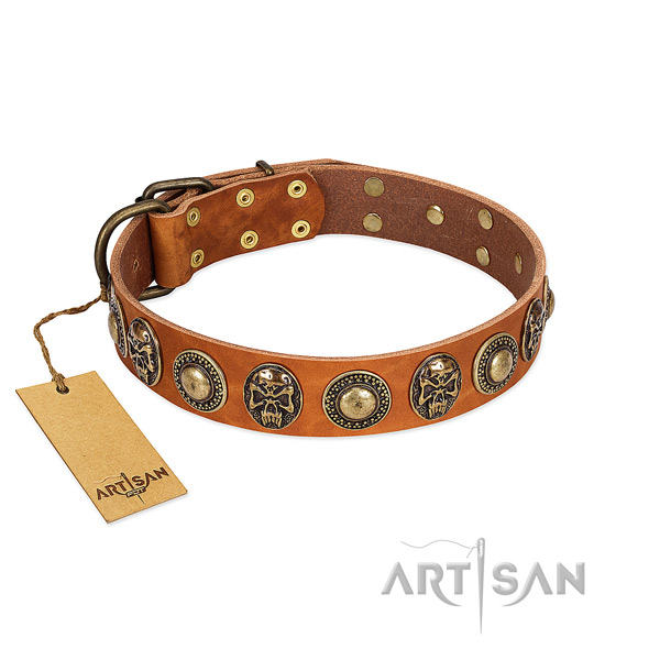 Adjustable genuine leather dog collar for everyday walking your four-legged friend