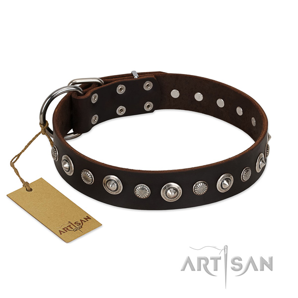 Reliable genuine leather dog collar with inimitable decorations