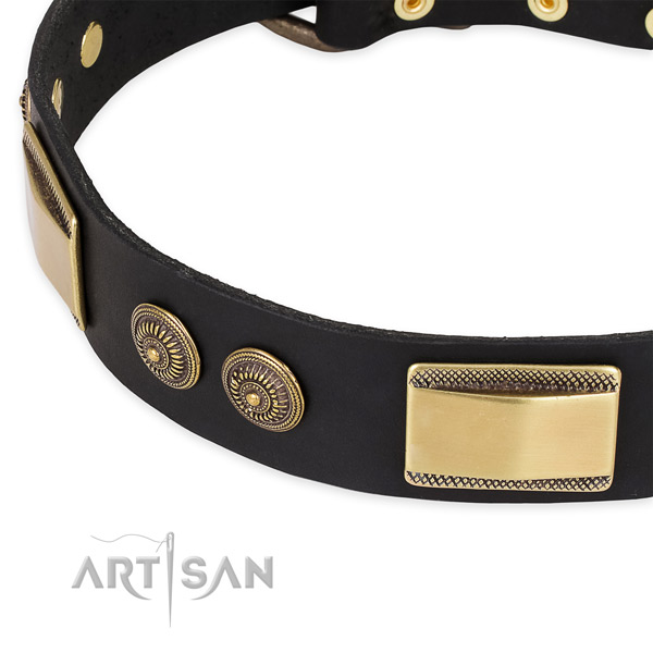 Designer full grain leather collar for your handsome four-legged friend