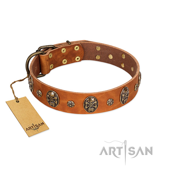 Significant full grain leather collar for your four-legged friend