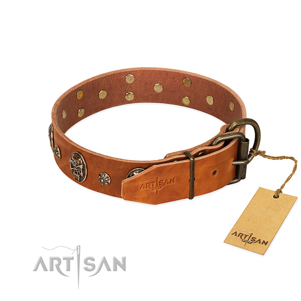Strong decorations on leather dog collar for your four-legged friend