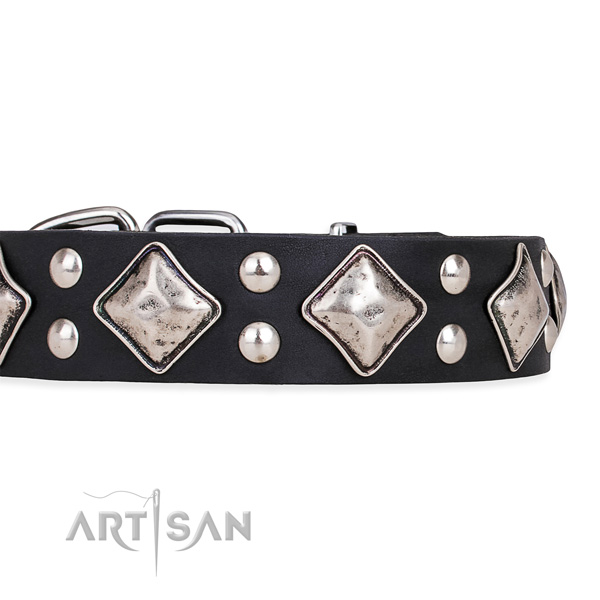 Natural leather dog collar with designer durable studs