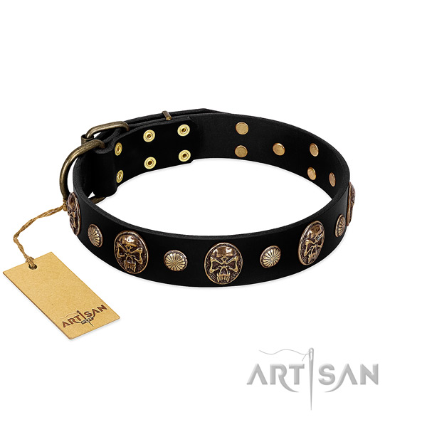 Genuine leather dog collar of soft material with extraordinary embellishments