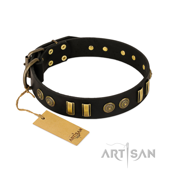 Rust-proof decorations on full grain leather dog collar for your doggie