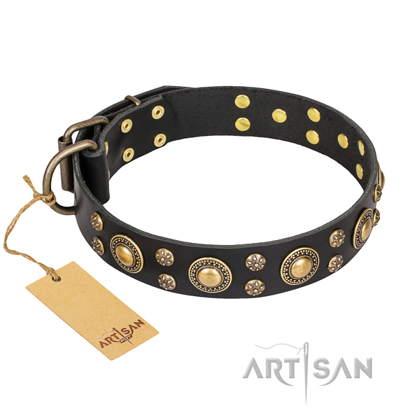 Easy wearing dog collar of reliable natural leather with studs