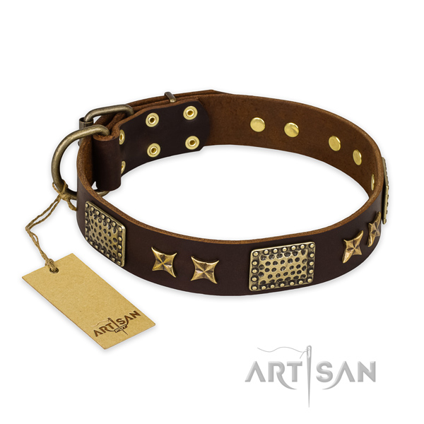 Exceptional leather dog collar with rust resistant hardware