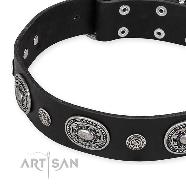 Quality leather dog collar created for your attractive dog