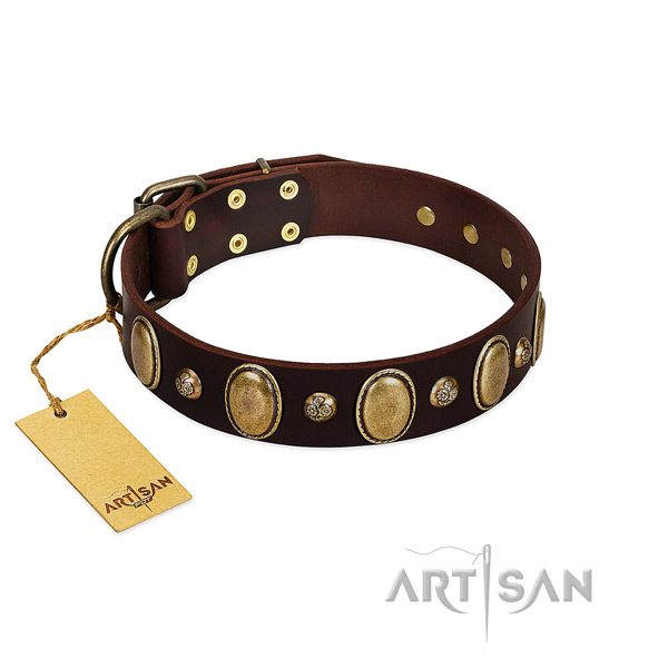 Full grain leather dog collar of quality material with impressive embellishments