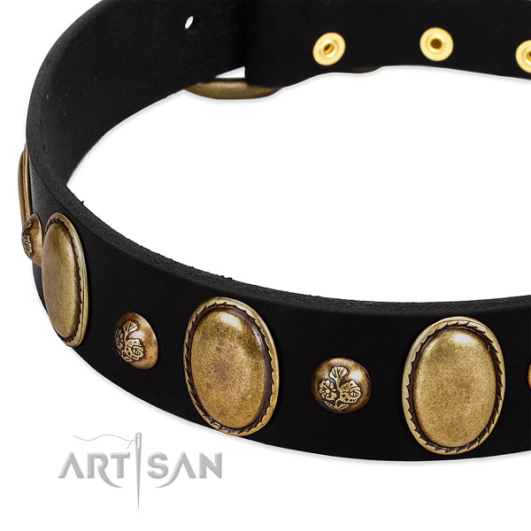 Full grain genuine leather dog collar with stylish design decorations