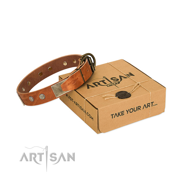 Rust resistant adornments on dog collar for daily use