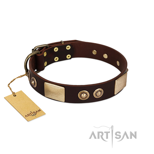 Adjustable full grain leather dog collar for daily walking your pet