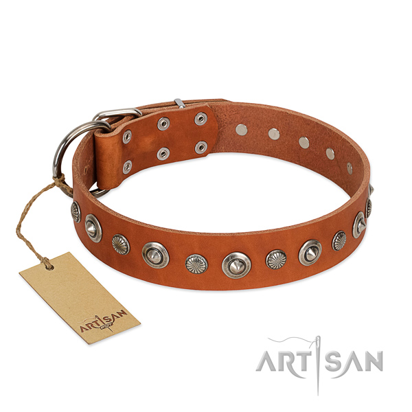 High quality genuine leather dog collar with impressive adornments