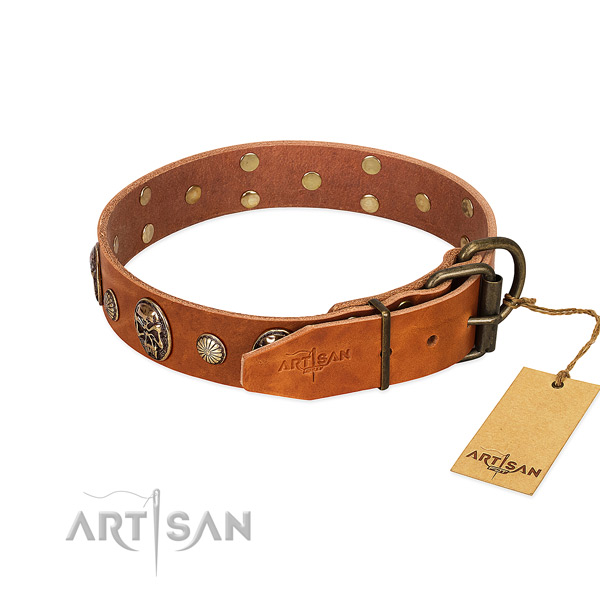 Rust resistant buckle on leather collar for daily walking your canine