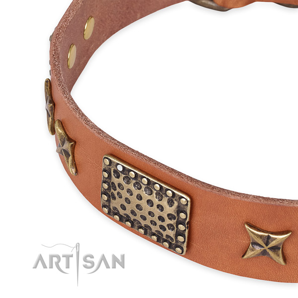 Leather collar with corrosion resistant traditional buckle for your impressive four-legged friend