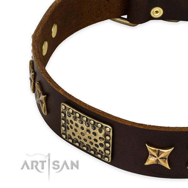 Full grain genuine leather collar with durable fittings for your lovely dog