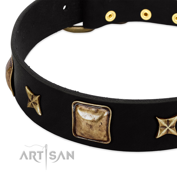 Full grain leather dog collar with trendy embellishments