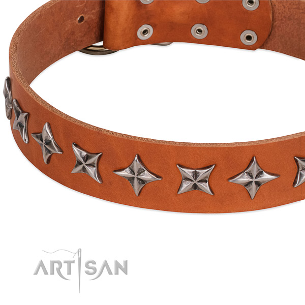Handy use studded dog collar of top quality full grain leather