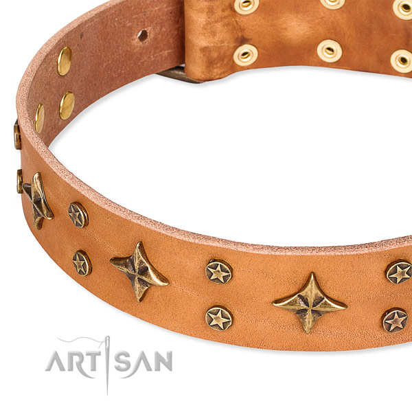 Daily use adorned dog collar of finest quality full grain natural leather