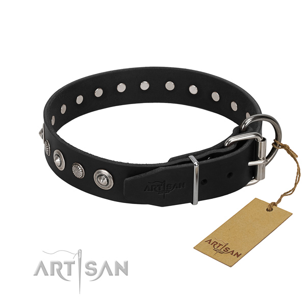 Finest quality full grain leather dog collar with unusual studs