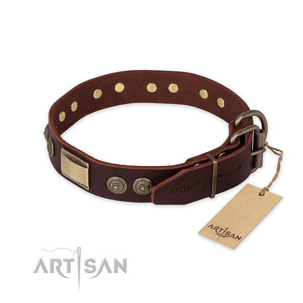 Durable buckle on full grain natural leather collar for daily walking your four-legged friend