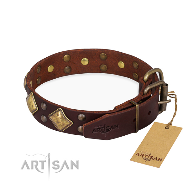 Genuine leather dog collar with stylish durable embellishments