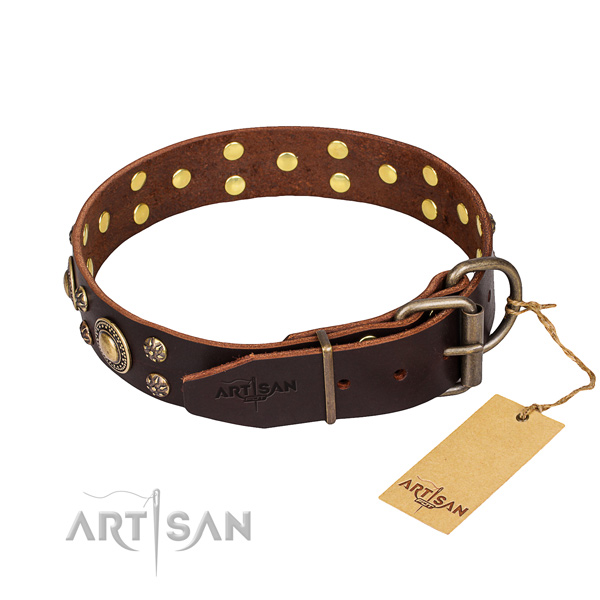 Fancy walking adorned dog collar of finest quality genuine leather