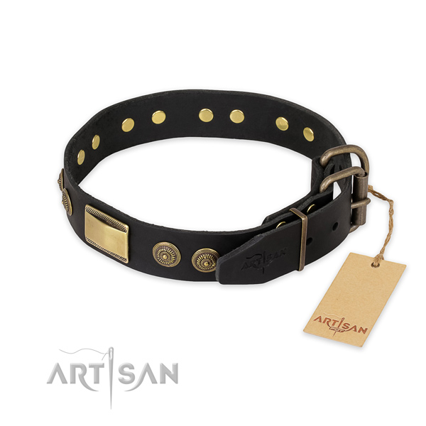 Rust resistant hardware on leather collar for daily walking your pet