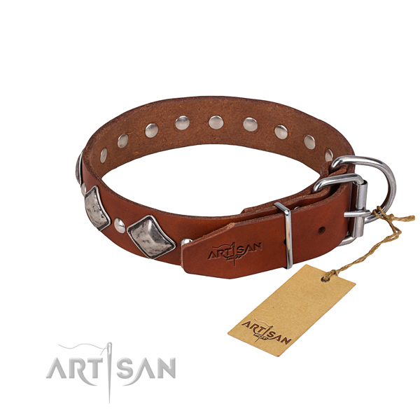 Fancy walking studded dog collar of quality genuine leather