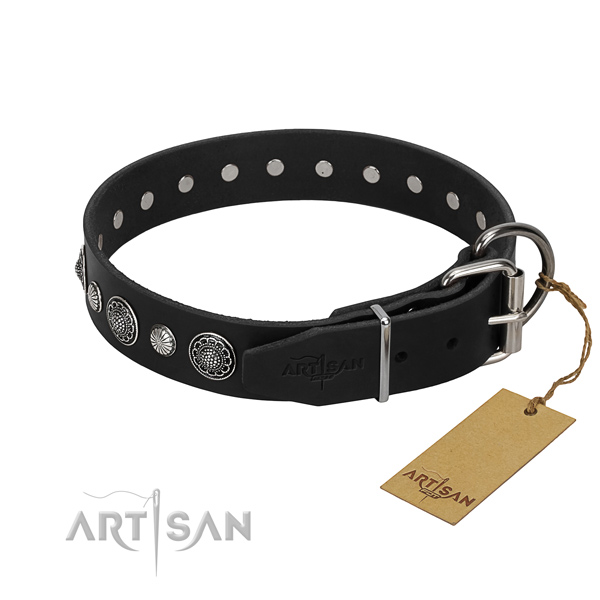 High quality full grain leather dog collar with impressive adornments