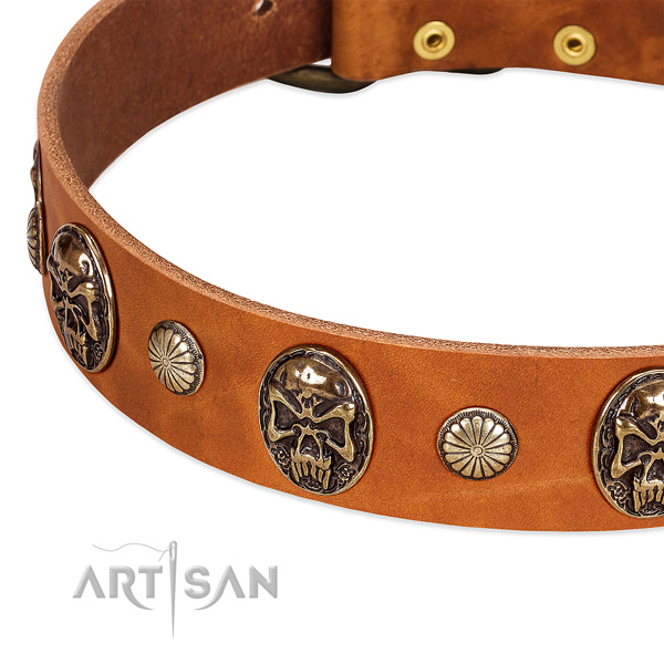 Corrosion proof hardware on leather dog collar for your dog
