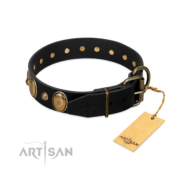 Rust-proof buckle on full grain leather collar for walking your four-legged friend