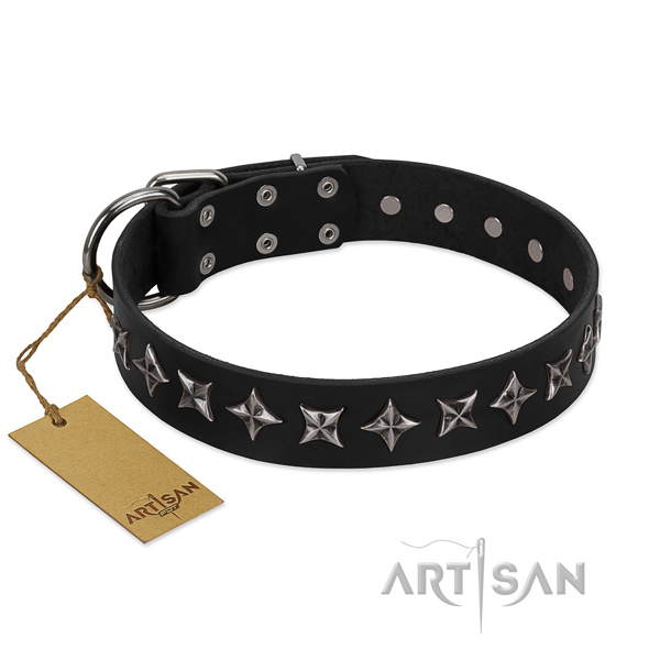 Basic training dog collar of high quality leather with embellishments