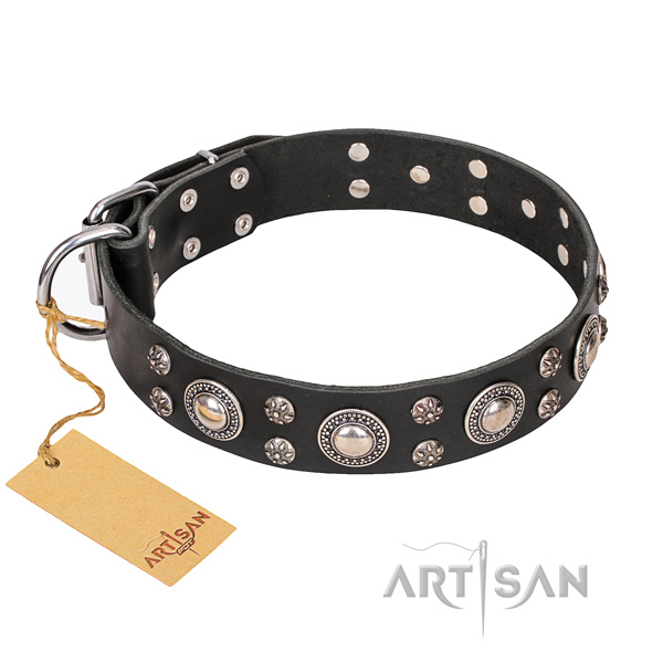 Everyday walking dog collar of durable natural leather with adornments