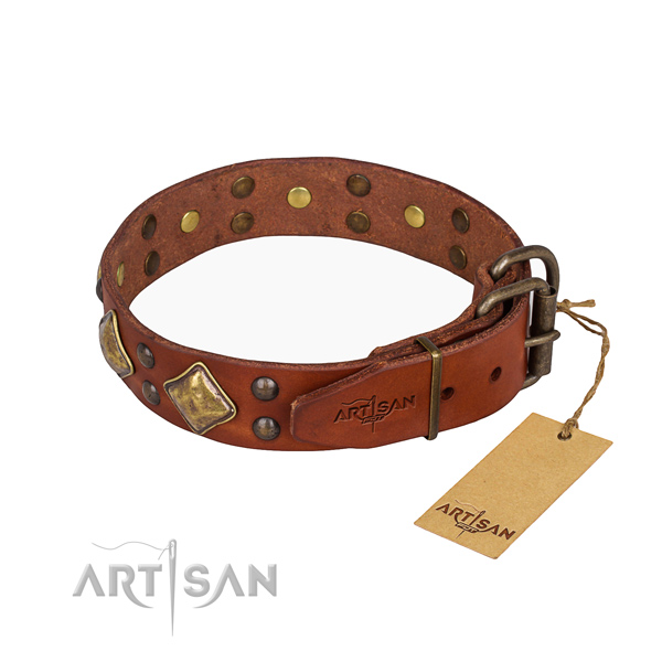 Full grain leather dog collar with fashionable strong embellishments