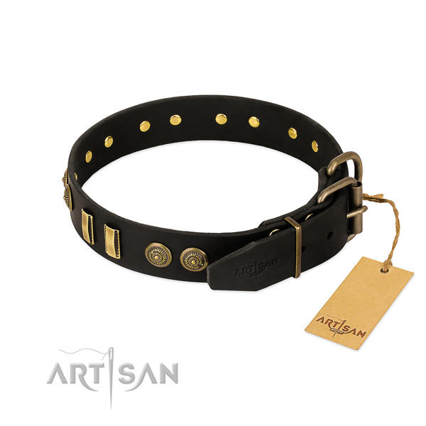 Rust-proof studs on leather dog collar for your canine