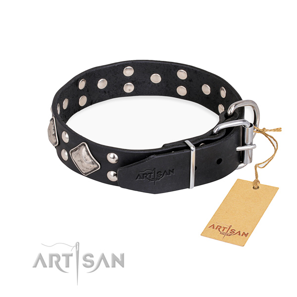 Full grain natural leather dog collar with remarkable strong adornments