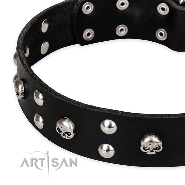 Easy wearing studded dog collar of strong natural leather