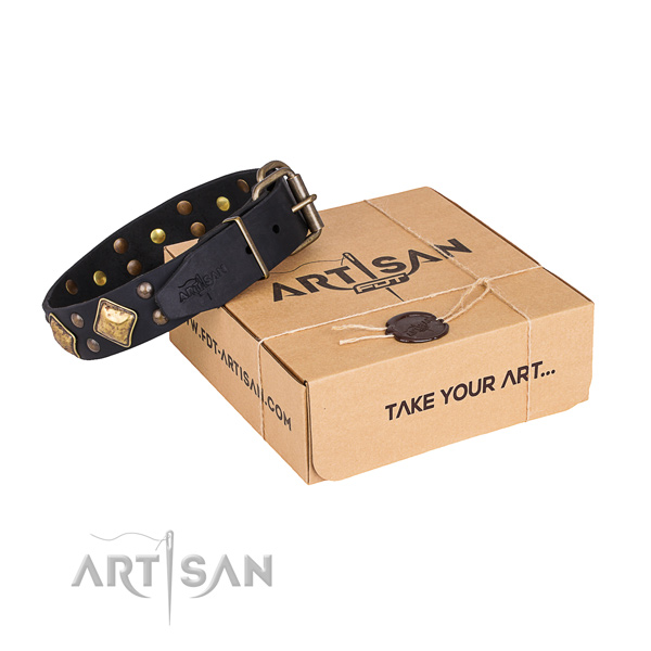 Handy use dog collar with Fashionable rust resistant embellishments