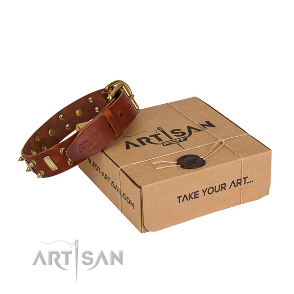 Easy wearing dog collar of finest quality full grain genuine leather with embellishments