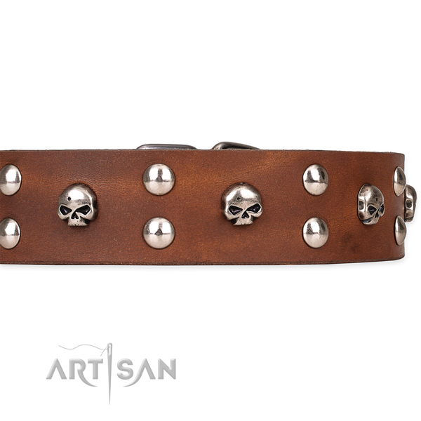 Comfortable wearing decorated dog collar of fine quality natural leather