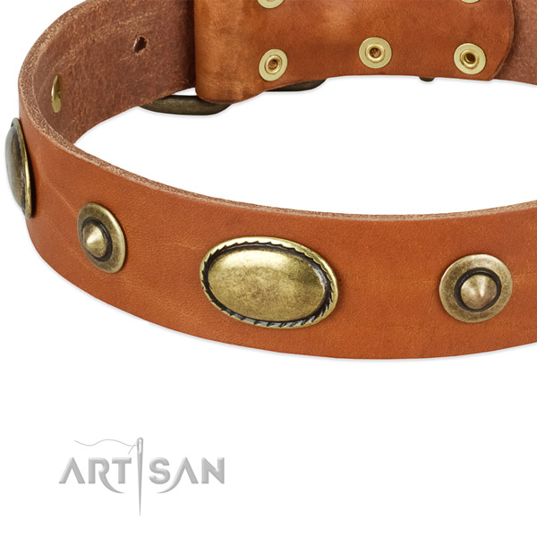 Rust resistant decorations on leather dog collar for your pet