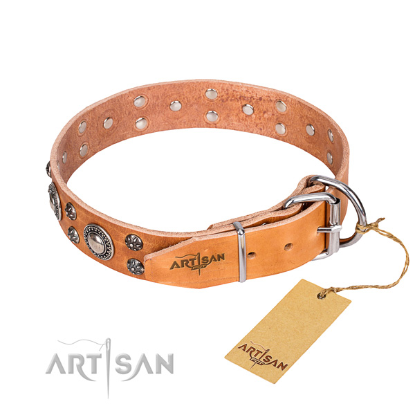Fancy walking adorned dog collar of fine quality full grain genuine leather
