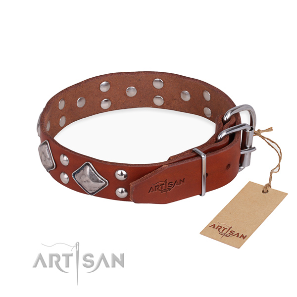 Genuine leather dog collar with fashionable reliable adornments