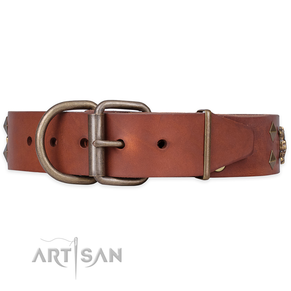 Easy wearing decorated dog collar of reliable natural leather