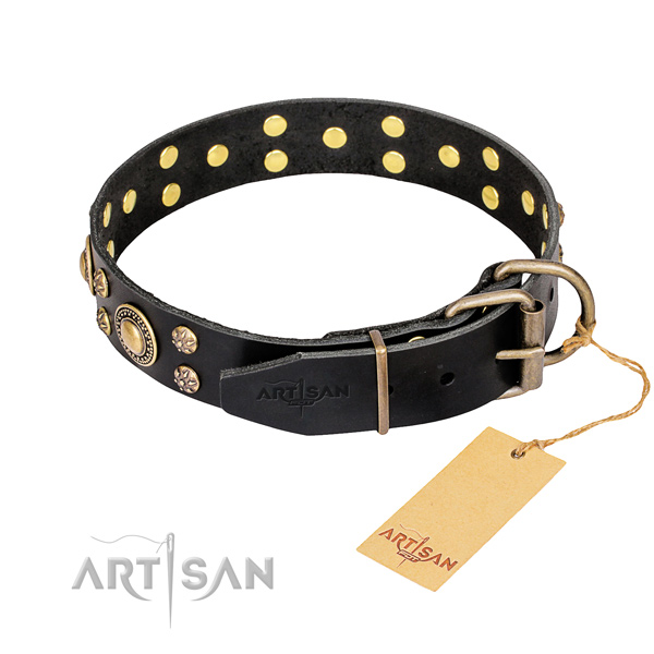 Everyday walking embellished dog collar of best quality full grain leather
