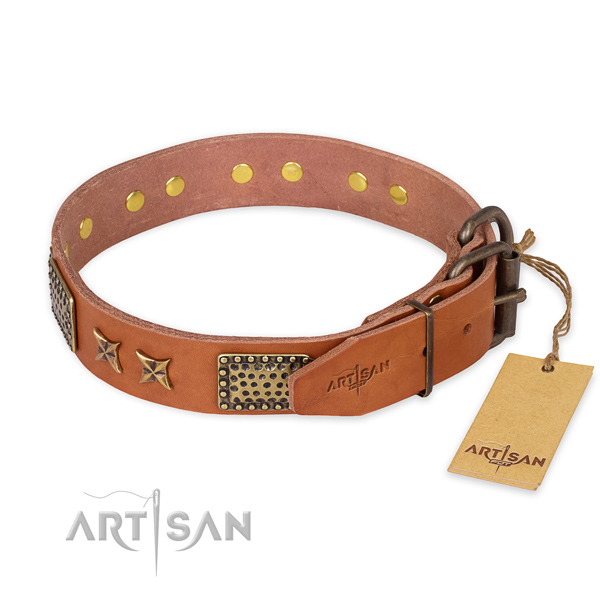 Strong D-ring on leather collar for your lovely pet