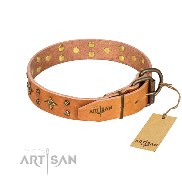 Stylish walking embellished dog collar of quality leather